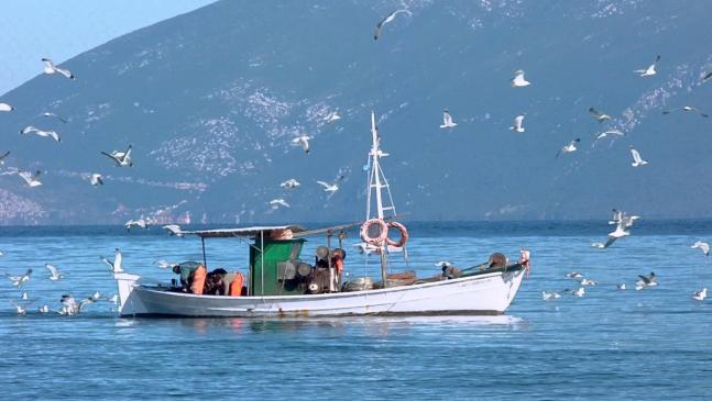 Νέες προσκλήσεις ενδιαφέροντος για την υποβολή αιτήσεων χρηματοδότησης στο Επιχειρησιακό Πρόγραμμα Αλιείας