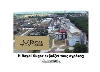 royal sugar agrotes serres e vima