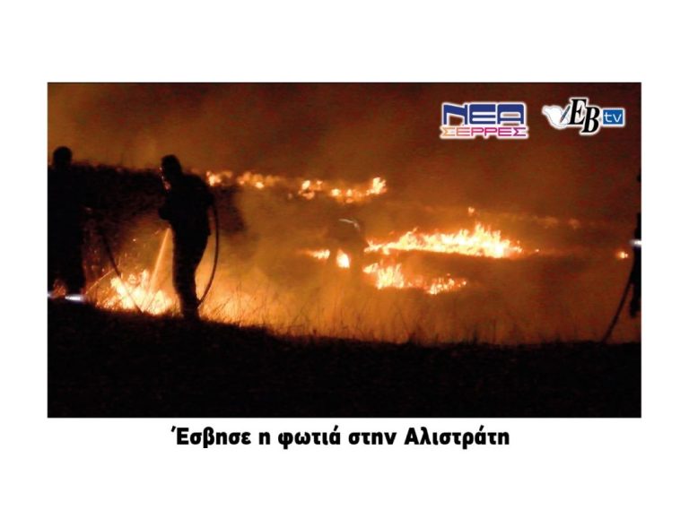 Δήμος Νέας Ζίχνης: Αίσιο τέλος με τη φωτιά στην Αλιστράτη!