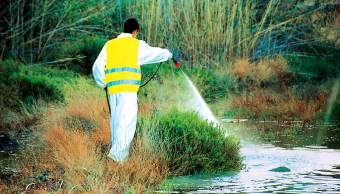Για το πρόγραμμα καταπολέμησης κουνουπιών: Σε προσλήψεις προχωρά η ΑΝΕΣΕΡ