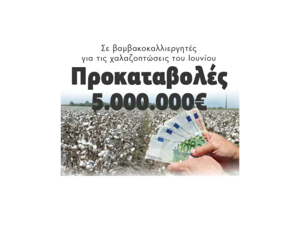 Προκαταβολές 5.000.000€: Σε βαμβακοκαλλιεργητές για τις χαλαζοπτώσεις του Ιουνίου