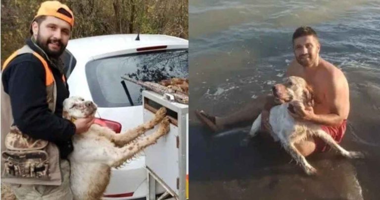 Ασύλληπτο: Νεκρός 32χρονος κυνηγός, πυροβολήθηκε κατά λάθος από τον ίδιο του τον σκύλο