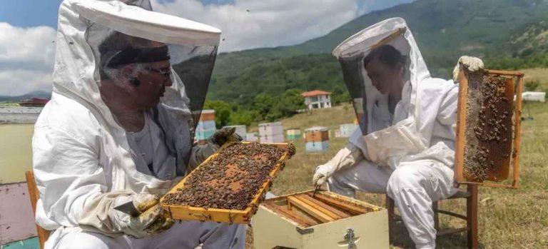 Στελέχη του ΜέΡΑ25 Σερρών: Εϊχαν συνάντηση με τον Σύλλογο Μελισσοκόμων