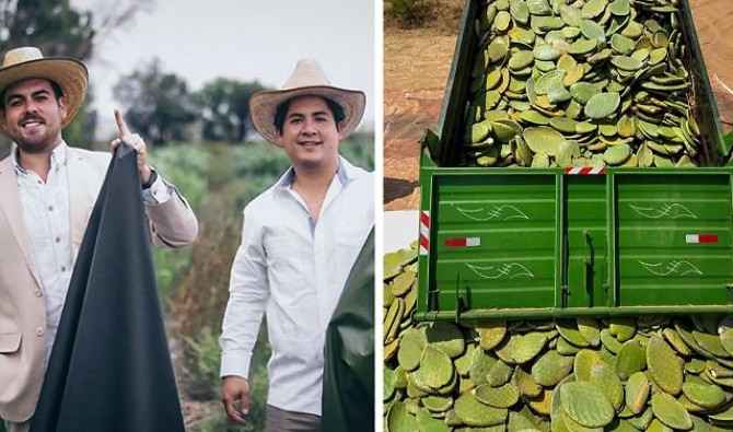 Δύο Μεξικανοί δημιούργησαν vegan δέρμα από κάκτο για να πάψουμε να σκοτώνουμε ζώα (ΦΩΤΟ)