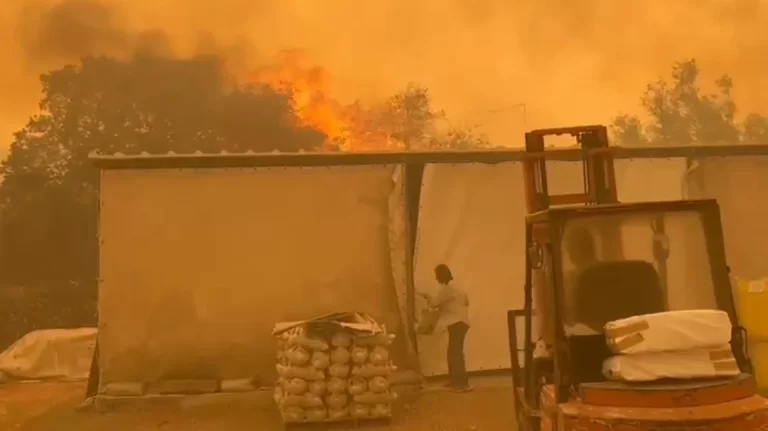 Φωτιά στα Δερβενοχώρια: Έχουν κυκλώσει τον οικισμό Νέα Ζωή Μάνδρας οι φλόγες – Έκκληση για εκκένωση – Δείτε βίντεο