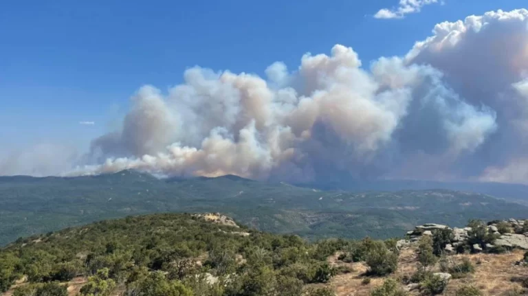 Έβρος: Καίγεται το δάσος της Δαδιάς – Φωτιά και στα Λάβαρα, μηνύματα του 112 για εκκένωση