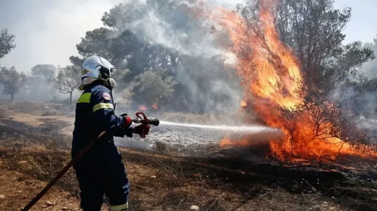Φωτιά στο Μαρκόπουλο Ωρωπού – Μεγάλη κινητοποίηση της πυροσβεστικής