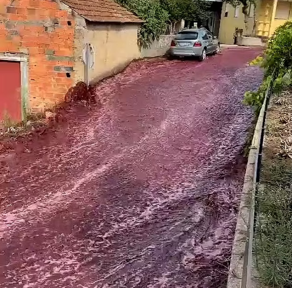 Πορτογαλία: Ένα ποτάμι από κρασί κατέκλυσε χωριό -2 εκατομμύρια λίτρα στους δρόμους
