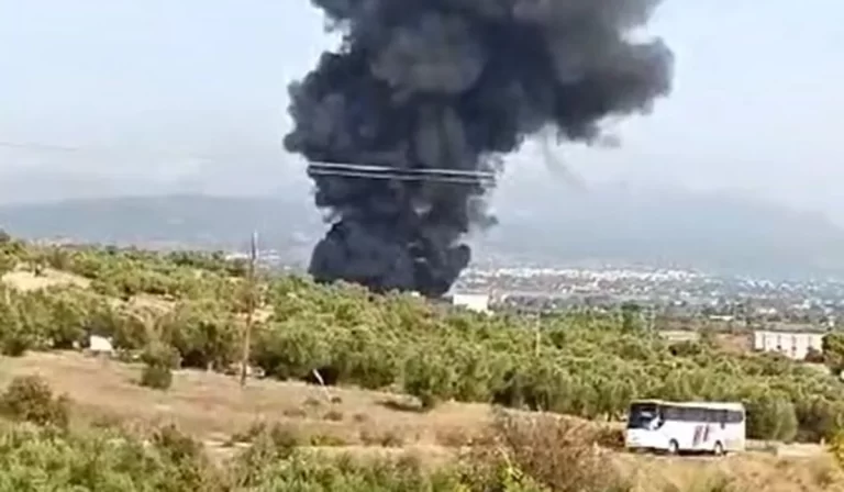 Μεγάλη φωτιά τώρα σε εργοστάσιο στην Εύβοια – Κοντά σε αποθήκες πυρομαχικών