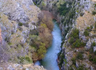 Γιάννης Μυλόπουλος Κόβουν χωρίς λόγο τα παρόχθια δένδρα του ποταμού Αγγίτη