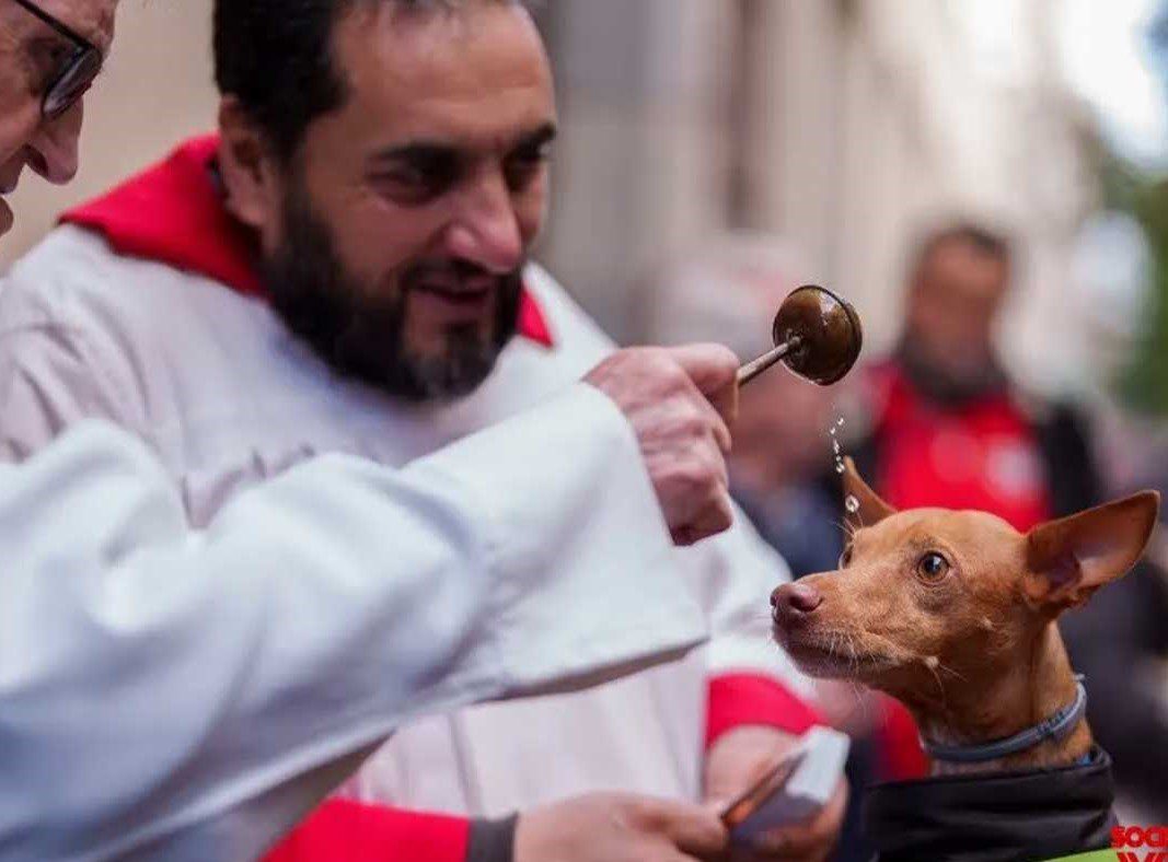 Μαδρίτη: Πήγαν τα κατοικίδιά τους στην εκκλησία για να κοινωνήσουν