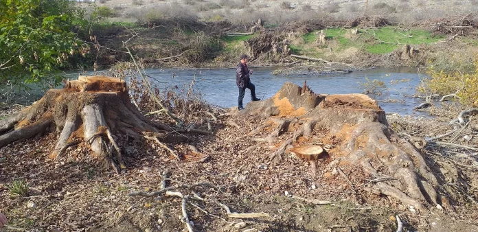 Γιάννης Μυλόπουλος: Συνεχίζεται ένα περιβαλλοντικό έγκλημα στον ποταμό Αγγίτη