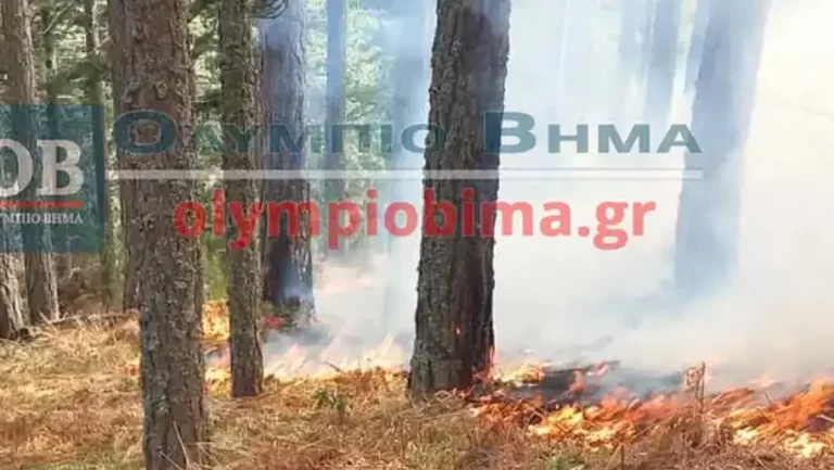 Φωτιά στα Πιέρια Όρη – Δεν απειλεί κατοικημένη περιοχή