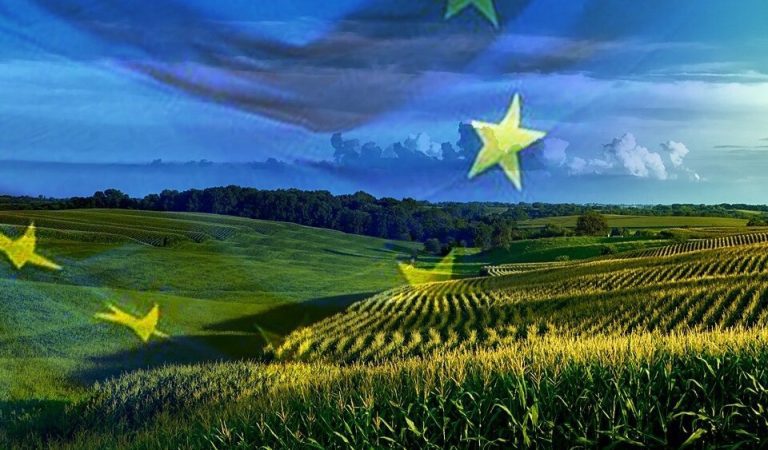 Πράσινο φως για την αναθεώρηση της ΚΑΠ από το Ευρωκοινοβούλιο