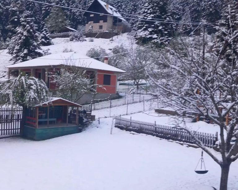 Τρίκαλα: Πυκνή χιονόπτωση στο Περτούλι – Τα πάντα ντύθηκαν στα λευκά