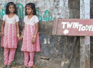 twins india 2