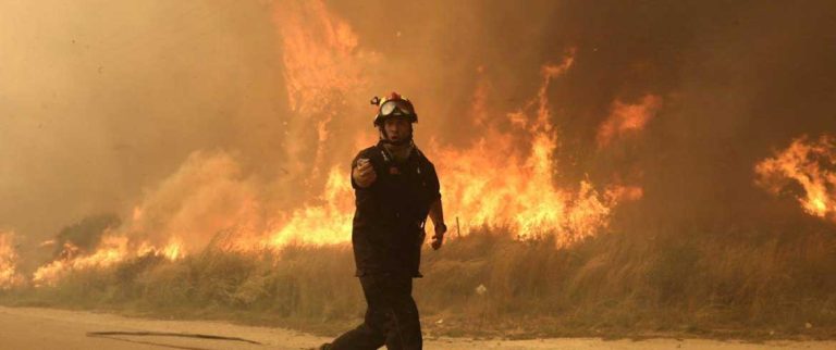 ΓΕΩΤ.Ε.Ε.: Πολιτικές και δράσεις για τις δασικές πυρκαγιές!
