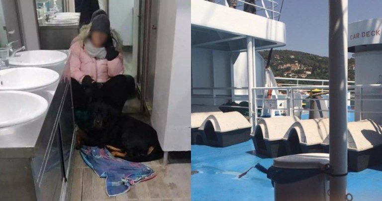 Σκόπελος: Την έβαλαν για πέντε ώρες στην παγωμένη τουαλέτα του πλοίου γιατί δεν είχαν κλουβί για το σκύλο
