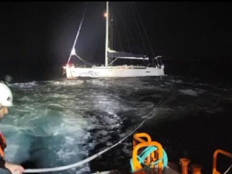 Τρόμος στην Ευρώπη: Όρκες φάλαινες έχουν βυθίσει 3 σκάφη και μαθαίνουν και σε άλλες να το κάνουν