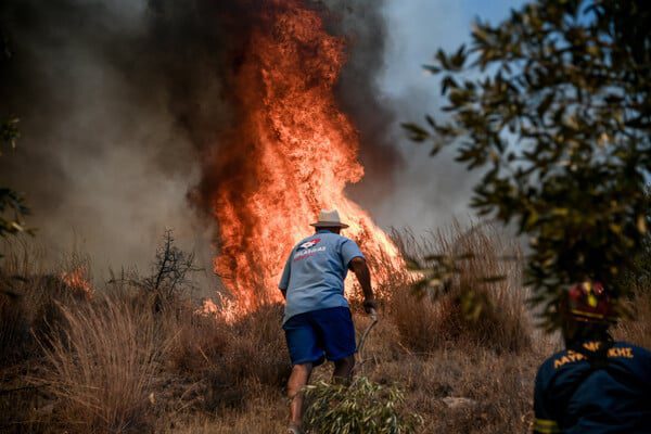 Φωτιά στον Κουβαρά: Κάηκε το καταφύγιο ζώων Fazoo Farm στο Λαγονήσι