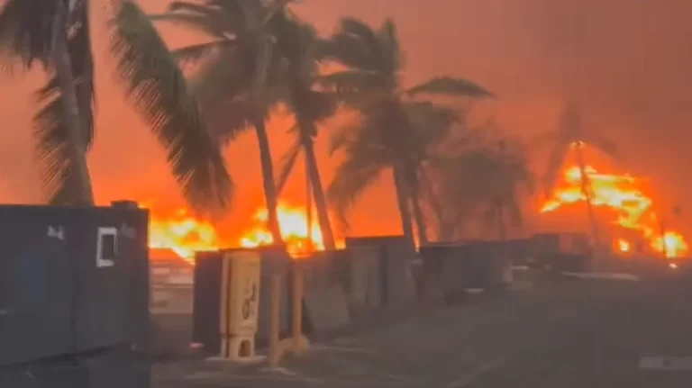 Χαβάη: Νέα δασική πυρκαγιά απειλεί κατοικημένη περιοχή στη νήσο Μάουι