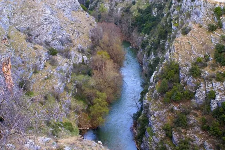 Γιάννης Μυλόπουλος: Κόβουν χωρίς λόγο τα παρόχθια δένδρα του ποταμού Αγγίτη