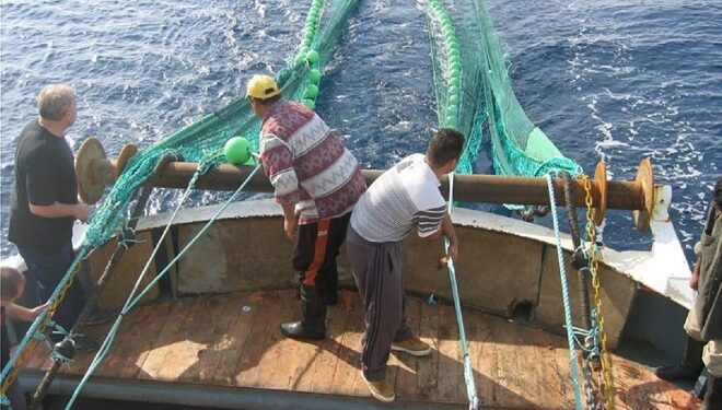 Για την Αλιεία: Οικονομική ενίσχυση για κατάργηση του γρίπου σε βιντζότρατες