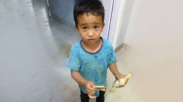 Ινδία: Παιδάκι πάτησε κατά λάθος ένα μικρό κοτόπουλο και το πήγε στο νοσοκομείο